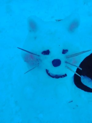 заходи весело