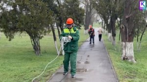 На Чкалова отремонтировали светофор