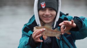 "СНАСТИ У НАСТИ" Шикарный улов разнорыбицы на Москве - реке