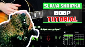 Как Играть SLAVA SKRIPKA - Бобр на Одной Гитаре за Час! Разбор Песни (табы, аккорды и бой)