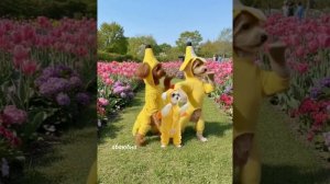 ТАНЦЫ ТРЕНД ТОП 🔥🔥🔥💣💣💣#видео #мультики #детям#детский #рутуб #топ #абаюдна #ии #прикол