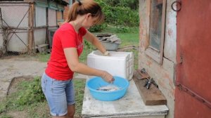 От сена до стиля. Село Львовское