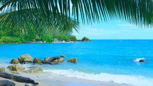 Океанская атмосфера, музыка, звуки освежающее море и чистый, нежный звук волн