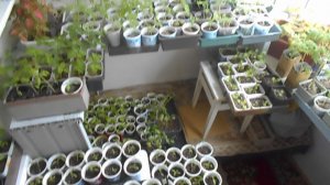 РАБОТА ИДЕТ ПОЛНЫМ ХОДОМ