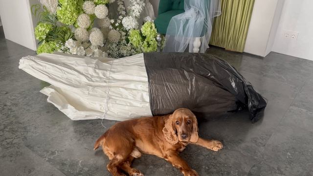 Свадебный декор. Мой помощник