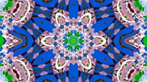 Весна! Полёт цветочных лепестков 2! Киностудия Мудрого Кота Тимофея!