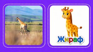 Учим животных | Первые слова малыша | 1 год | Развитие речи