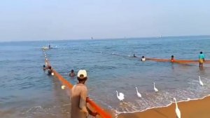 Навыки ловли крупной рыбы.