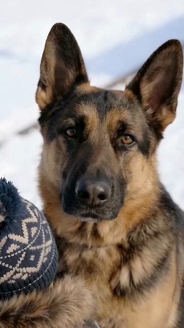 Будь осторожен на объектах транспорта!