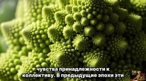 НОЧЬЮ ВСЁ РЕШИТСЯ — Прими СЕБЯ и НАБЛЮДАЙ за чудом | Юнг