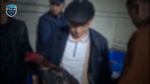 Қўқонда яширин равишда хўроз уриштириш ўйинлари ташкил қилган шахс фош этилди