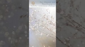 28. Дух Святый - мой Путеводитель. Часть 28-я - «Любовь - истинная свобода».