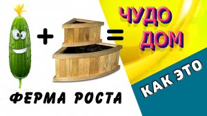ОГУРЕЧНИК. Вертикальная грядка + Шпалера своими руками. Монтаж, устройство, использование / Как это