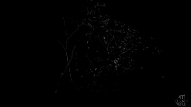 ЧЕЛОВЕК ДОМИНО!.. Страшные истории на ночь.