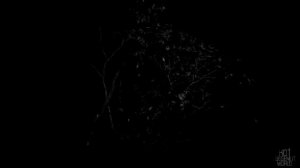 ЧЕЛОВЕК ДОМИНО!.. Страшные истории на ночь.