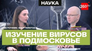 Вирусы-хищники в медицине и пищевой промышленности: подмосковные учёные исследует бактериофаги