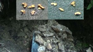 Там нахожу Золото всегда! Мой Клондайк!