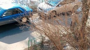 Жизнь после инсульта.Снег сошел март 2026 открыл весенний сезон прогулок.