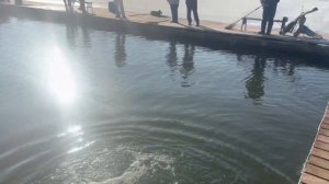 copy_195359DC-C9D0-4E60-A83B-503DF17BF2D8