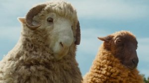 Cледствие Ведут Овечки - Русский трейлер 2 (4K Дубляж, 2026) Хью Джекман