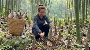 Собрала побеги бамбука и отнесла их на рынок, чтобы продать. Энн. Жизнь во Вьетнаме