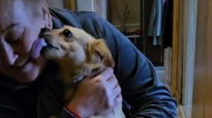 ВСТРЕЧА ДВУХ киперских пироплазмозных спасёнышей! Понравились друг другу😘