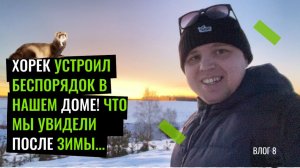 ХОРЕК УСТРОИЛ БЕСПОРЯДОК в нашем доме! Что мы увидели после зимы...