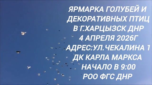 Ярмарка Голубей г.Харцызск ДНР 4.04.26 (Объявление).mp4