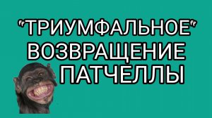 Крысы, деньги и чужая жизнь