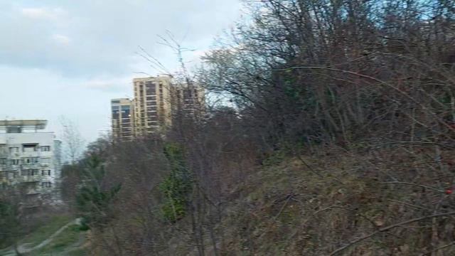 Выгул Собаки . Посылка. Нервы