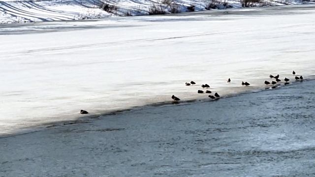 Набережная Урала Прогулка Видео Виктор Поживин 24.03.26.