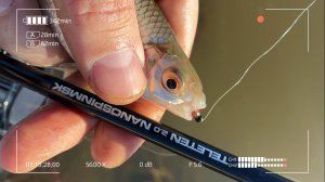 Мормышинг в сточной канаве