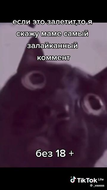 1000022426.mp4