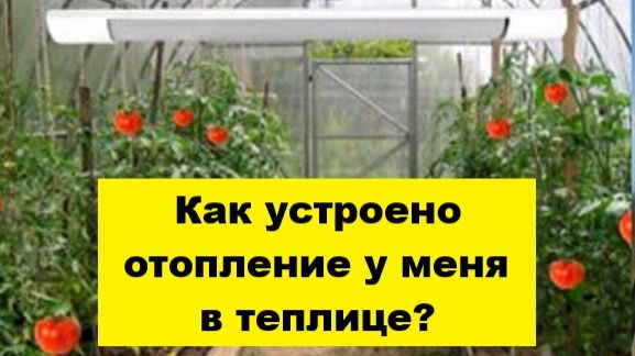 Как устроено отопление в моей теплице?