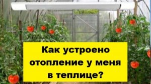 Как устроено отопление в моей теплице?