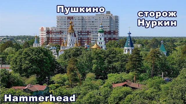 Hammerhead  ПУШКИНО сторож НУРКИН