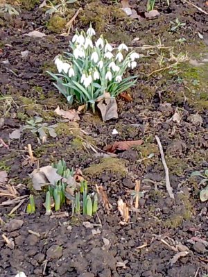 весна наступила Ура