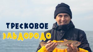 Рыбалка в море на Треску. Попали на отличный клёв крупной рыбы Мерланг в Кабардинке..