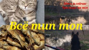 Всё тип-топ/Жить нужно в кайф/Дружная семейка.