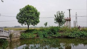 Каналы для орошения полей!