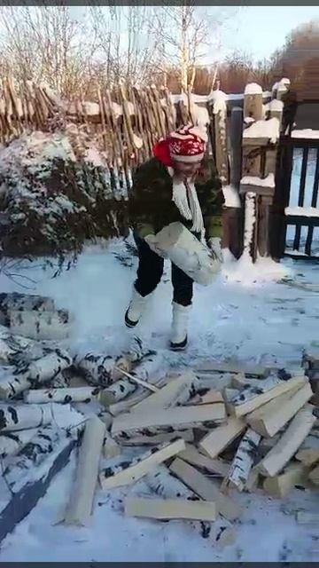 заготовка дров