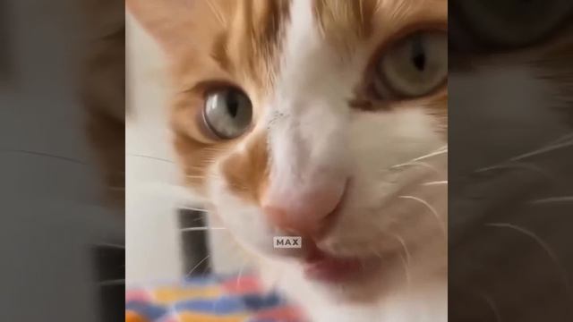 Вы были замечены 🤣