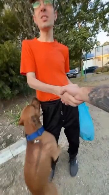 Что то тут не так