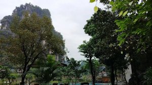 Доброе Вьетнамское утро!