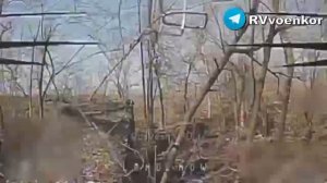 ‼️🇷🇺🔥Мощные кадры: 186 полк уничтожает пехоту и технику врага, наступая в Днепропетровской област