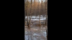 Дмитрий Серов встретил своих братьев