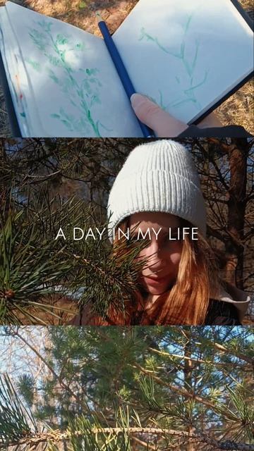 ✨ Один день из моей жизни