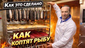 Рыбный цех изнутри: соление, копчение и производство | Как это сделано