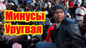 Минусы Уругвая в реальности