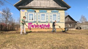 ПАЛИСАДНИК // ЦВЕТЫ.